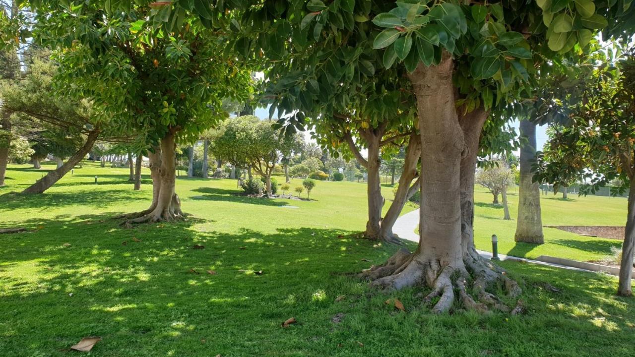 Апартаменты Torres De Aloha 2 Bdr Puerto Banus Марбелья Экстерьер фото